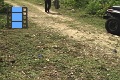 Scene 55_hssflight_Morpho peleides coming one after another to banana bait, capturing one on the ground by hand
